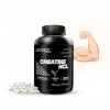 PROM IN CRÉATINE HCL 240 VEGAN capsules - 120 apports journaliers | Chlorhydrate de créatine pure à haute absorption pour aug