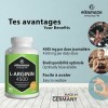 L-Arginine 4.500 mg Fort pour les Sportifs - 360 Gélules 3 Mois - Performance Physique - Supplément dArginine Pure et Natu