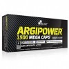 ARGIPOWER 120 capsules | Oxyde nitrique hardcore | Complément alimentaire pré-entraînement | Grande dose de L-arginine