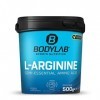 Bodylab24 L-Arginine Powder 500g, 2000mg de poudre darginine pure par dose, à base de molasse de maïs & de betterave sucrièr