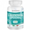 Bandini® Liposomal Glutathion 60 Capsules Végétaliennes, Complément Alimentaire à Haut Dosage et Absorption, Haute Biodisponi