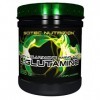 Scitec Nutrition L- Glutamine acide aminé 300g