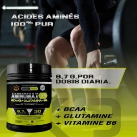 Healthy Fusion 100% pur Branched Chain Amino Acids BCAAs | Acides aminés essentiels | Glutamine + Vitamine B6 | Augmentez vot