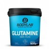 Bodylab24 Glutamin Powder 500g, par portion 5g de poudre dacide L-2-aminoglutarique 100% pure, la glutamine peut soutenir le