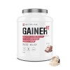 GAINER HT | Proteine Whey + Isolate + Maltodextrine | Gainer Prise de Masse Musculation | 5 Sources de Protéines + 2 Sources 