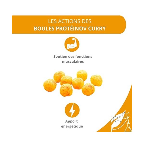 EFFINOV NUTRITION PROTEINOV - Boules Curry Protéines 61g – Maintien de la Masse Musculaire - Apport énergétique – Sans édul