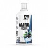 All Stars Amino Liquide Currant 1000 ml