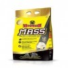 Interactive Nutrition Mammoth Mass Glace Vanille 15 Lbs