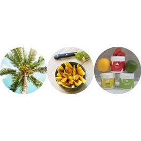 Arômes naturels pour whey, protéine végétale, peptan collagène • 9 arômes pour varier les plaisirs selon vos envies • 100% in