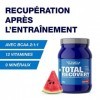 Victory Endurance Total Recovery - Optimise la Récupération Post-Entraînement – Avec Glutamine – BCAAs - Enrichie en Vitamine