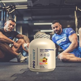 ALLNUTRITION Pro Whey Protein Isolate Concentrate Nutrition Poudre Vitamines avec BCAA Glutamine Acides Aminés et EAA Sans Su