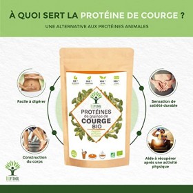 Protéine de Graines de Courge Bio - Bioptimal - 65% de Protéines BCAA - Poudre de Graine de Citrouille Crue - Cultivé en Euro