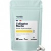 Collagène Marin + Acide Hyaluronique, Peau Hydratée et Articulations Fortes, Cure de 1 mois, 60 Gélules, Collagene Hydrolysé 