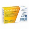Cicatridine - Suppositoires - favorise la cicatrisation anale - Hémorroïdes - Acide Hyaluronique Sel Sodique 5mg - Dispositif