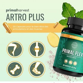 PRIMAL FLEX ARTRO PLUS - 60 capsules hautement dosées & testées en laboratoire avec magnésium, vitamine C pour des os solides