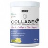 Weider Collagen Plus. Préparation en poudre avec peptides de collagène Peptan , acide hyaluronique, magnésium et vitamine C.