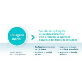 NUVILINE Life - Pur Collagène Marin Universel - Collagène Hydrolysé En Poudre - Muscles, Os & Articulations - Qualité Premium