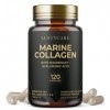 Collagène Marin et Acide Hyaluronique | Collagène Hydrolysé enrichi en Magnésium + Vitamines C, E + Zinc + Coenzyme Q10 | 60 