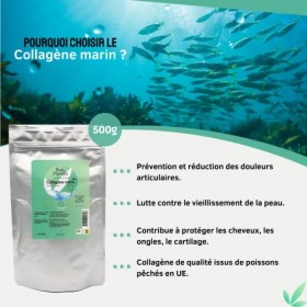 Poudre de collagène marin, hydrolysé et 100% naturel, de type 1 500g | Poissons pêchés en UE | Renforce os, cheveux, articu