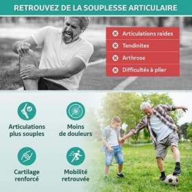 Collagène Non Dénaturé Type 2 - Spécial Articulations - Collagène Non Hydrolysé pour Action Supérieure Démontrée - Complément