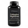 Collagène Végétarien, de Membrane dOeuf Biologique, 120 Gélules | Avec Glucosamine, Chondroïtine, Acide Hyaluronique et des 
