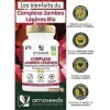 Complexe Jambes Légères BIO | Circulation Sanguine, Drainage, Élimination | Vigne Rouge, Cassis, Hamamélis | 90 gélules de 40