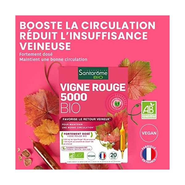 Santarome Bio - Vigne Rouge Bio | Complément Alimentaire Jambes Légères | Booste la Circulation, Jambes Lourdes - Plantes Bio