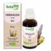 HerbalGem Dermagem Bio Gemmothérapie Concentrée Purifie Et Restaure La Peau 30 ml