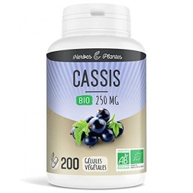Cassis Bio 200 Gélules Végétales 250 mg - Herbes et Plantes