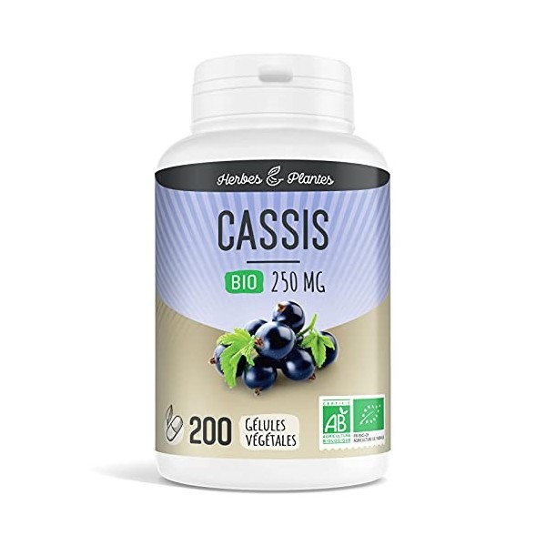 Cassis Bio 200 Gélules Végétales 250 mg - Herbes et Plantes