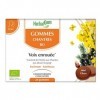 HerbalGem Gommes Chantres Bio Redonne de lEclat à la Voix 24 Gommes