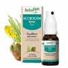 HerbalGem Accrogem Spray Complexe Désaccoutumance Bio, Contient de l’avoine qui favorise l’équilibre nerveux 15 ml