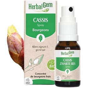 HerbalGem - Macérât-Mère - Spray Cassis Bio - Complément Alimentaire Gemmothérapie Concentrée - Extrait de Bourgeon Frais - p