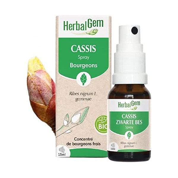 HerbalGem - Macérât-Mère - Spray Cassis Bio - Complément Alimentaire Gemmothérapie Concentrée - Extrait de Bourgeon Frais - p