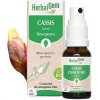 HerbalGem - Macérât-Mère - Spray Cassis Bio - Complément Alimentaire Gemmothérapie Concentrée - Extrait de Bourgeon Frais - p