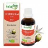 HerbalGem Cordiagem Bio Complexe circulation Favorise une circulation fluide Gemmothérapie Concentrée 30 ml