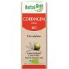 HerbalGem Cordiagem Bio Complexe circulation Favorise une circulation fluide Gemmothérapie Concentrée 30 ml