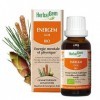 HerbalGem | Energem Complexe Bio | Stabilité mentale, physique et émotionnelle | 30 ml