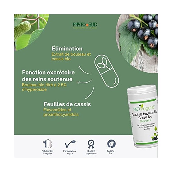 Bouleau et Cassis BIO Végétal - Complément Alimentaire Vegan - Elimination & Drainage - Cure Détox - 60 Gélules - Fabrication