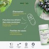 Bouleau et Cassis BIO Végétal - Complément Alimentaire Vegan - Elimination & Drainage - Cure Détox - 60 Gélules - Fabrication