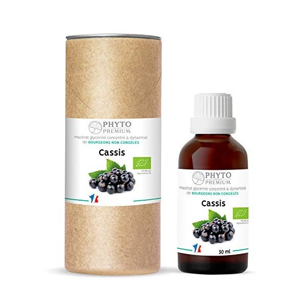 Gemmothérapie CASSIS - Ribes nigrum BIO 
