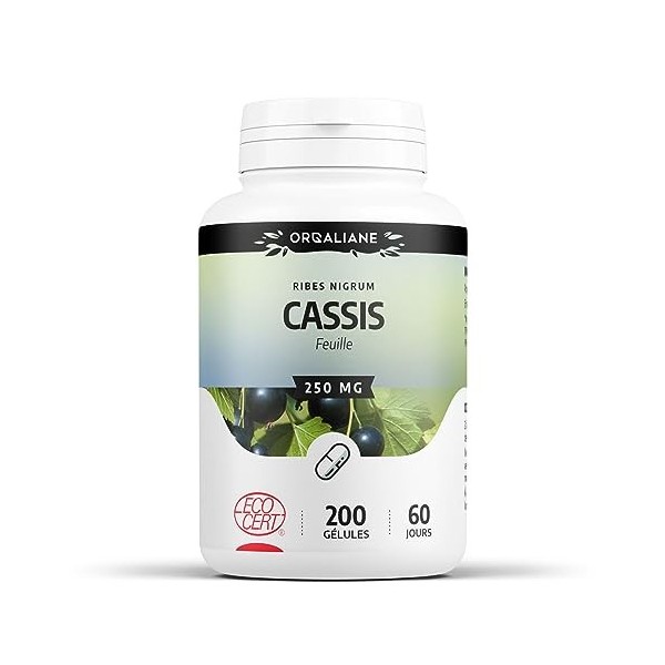 Cassis feuille Bio 200 gélules