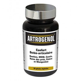 NUTRIEXPERT - Artrogenol - Confort ostéo-articulaire - Formulée à base de Bambou, MSM, Cassis, Reine des prés, Cuivre et Mang