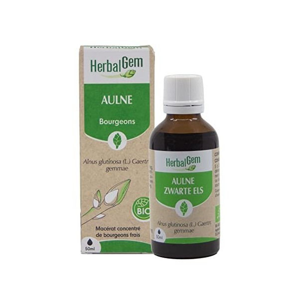 Aulne glutineux Bio - 50 ml - Herbalgem