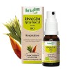 HerbalGem Rinalgem Spray Buccal Bio Respiration - Inconfort Saisonnier 15 ml