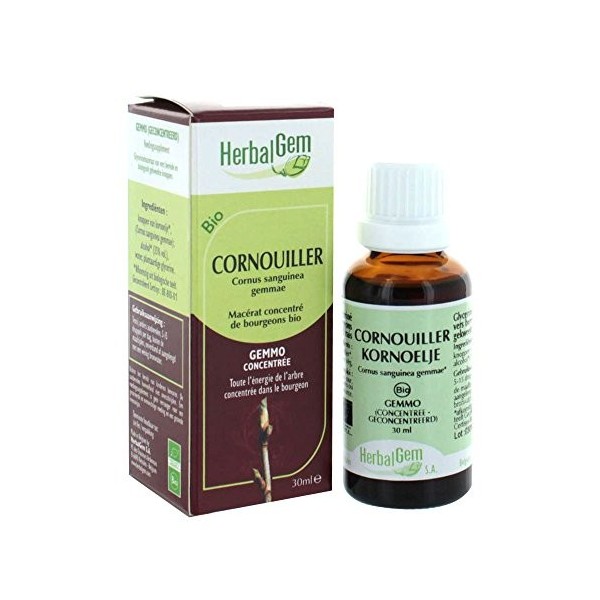 HerbalGem Cornouiller Bio 30 ml