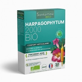 Harpagophytum Bio 2000 - Articulations Douloureuses, Souplesse, Mobilité - Complément alimentaire fortement dosé - 2000mg/jou