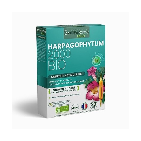 Harpagophytum Bio 2000 - Articulations Douloureuses, Souplesse, Mobilité - Complément alimentaire fortement dosé - 2000mg/jou