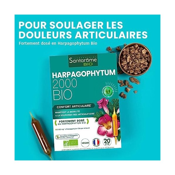 Harpagophytum Bio 2000 - Articulations Douloureuses, Souplesse, Mobilité - Complément alimentaire fortement dosé - 2000mg/jou