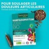 Harpagophytum Bio 2000 - Articulations Douloureuses, Souplesse, Mobilité - Complément alimentaire fortement dosé - 2000mg/jou